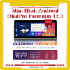 Man-hinh-android-oledpro-premium-12-3-inch