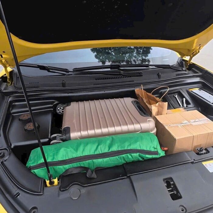 Cop Truoc Vinfast Limo Green 4